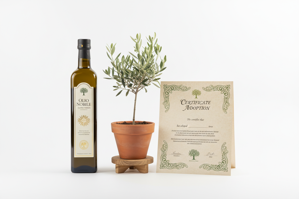 stessa foto dell'olio + foto adotta un ulivo (con ulivo piccolo e certificato PDF)